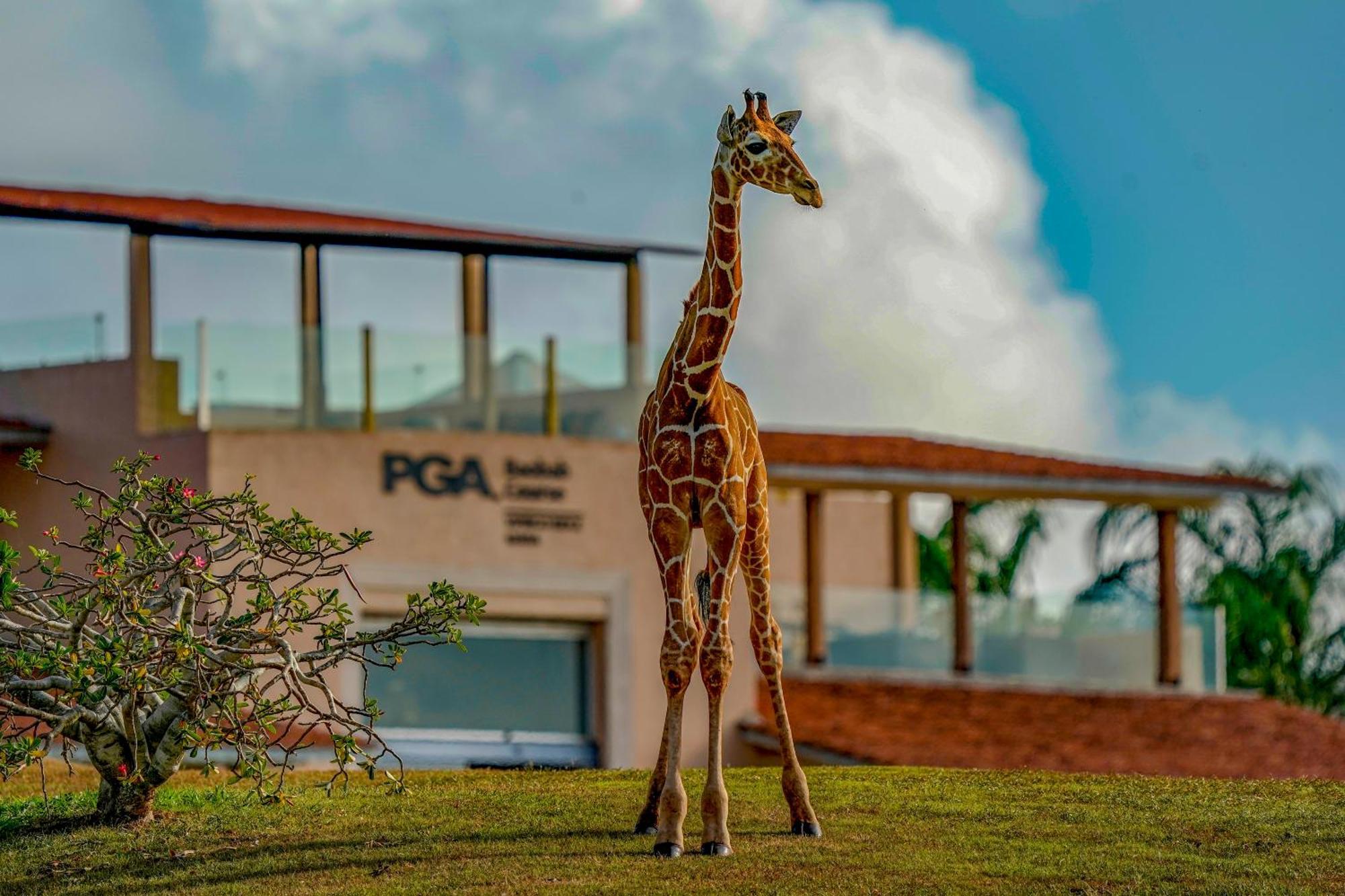 Vipingo Ridge Limited Hotel Kilifi Exterior photo